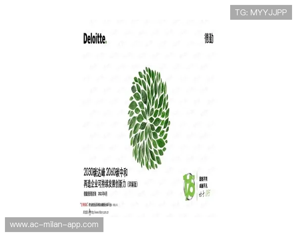 未来之星:新人连续五场20+,竞争激烈!,未来之星怎么解释 未来之星:新人连续五场20+,竞争激烈!,未来之星怎么解释